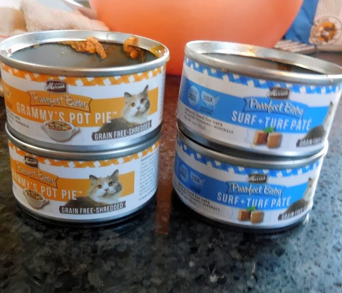 The Farm Cats Enjoy Some Tasty Merrick Purrfect Bistro – Review #ad