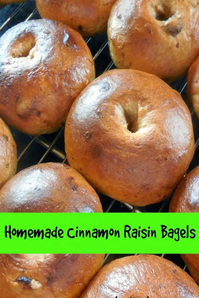 cinnamon raisin bagels