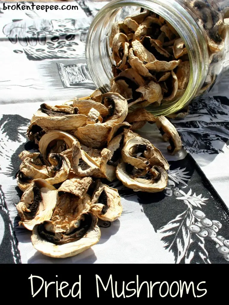 how to dry mushrooms, dehydrating mushrooms