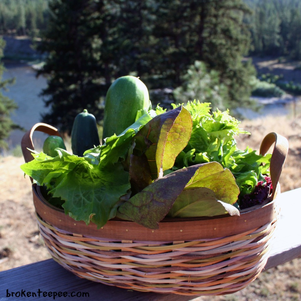 Basket-of-vegetables