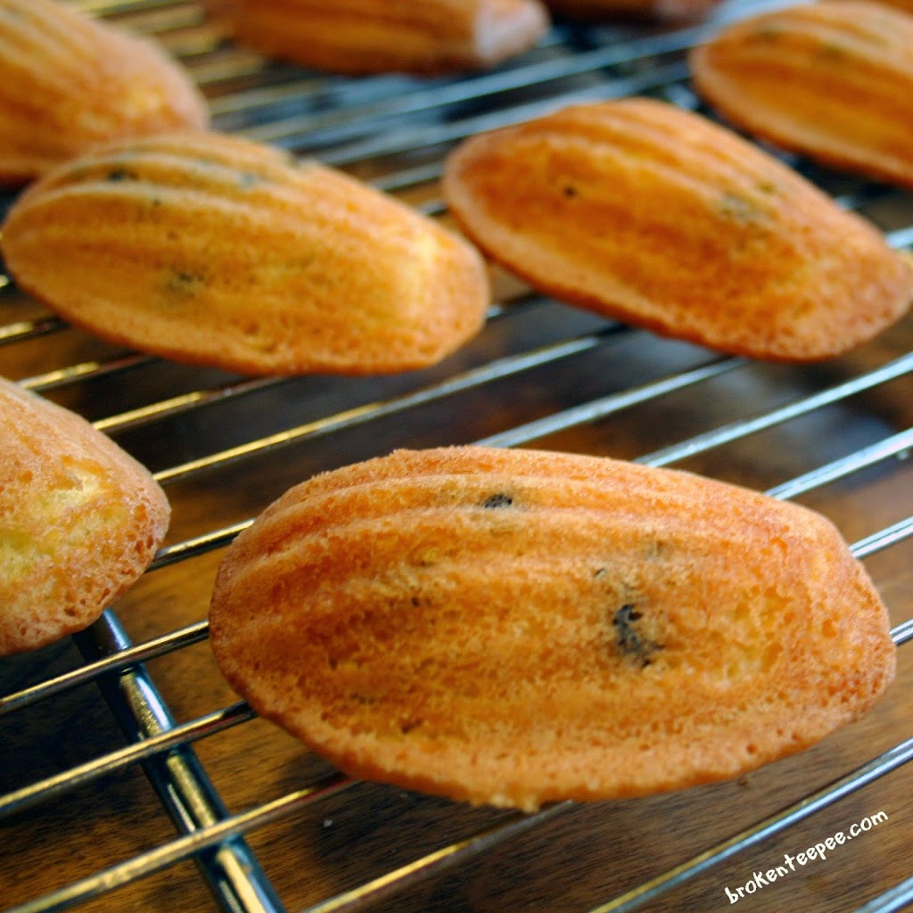 chocolate chip madeleines cooling on wire rack