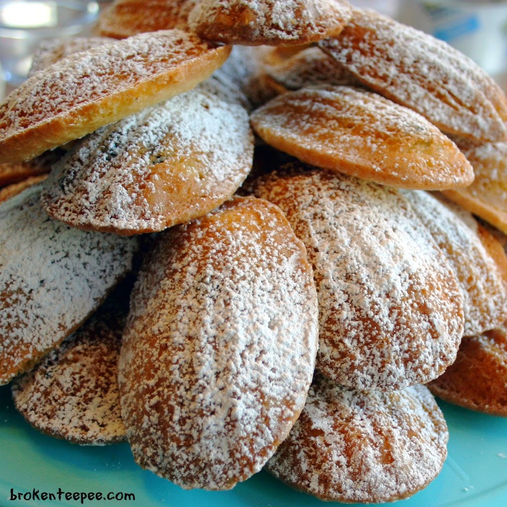 chocolate chip madeleines