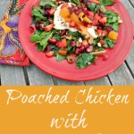 poached chicken salad, summer salad recipe