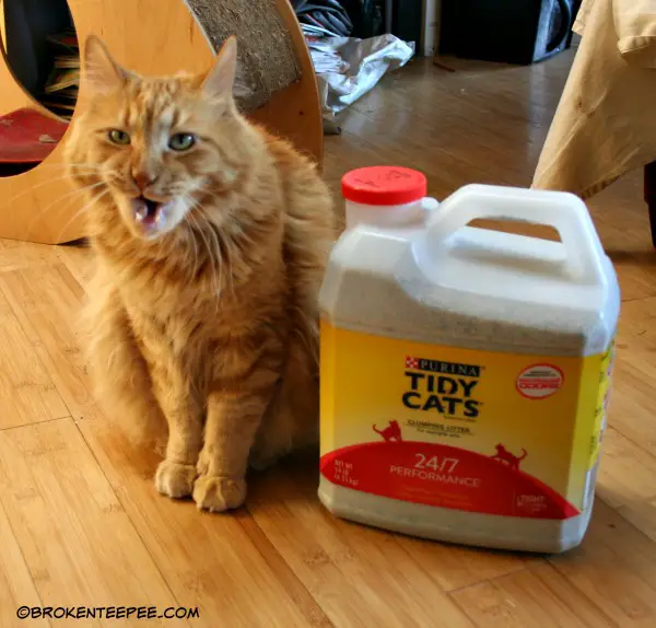 Tidy Cats Cat Litter, Chewy.com, sponsored