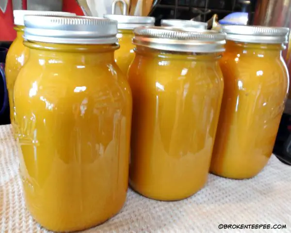 canned ginger carrot soup