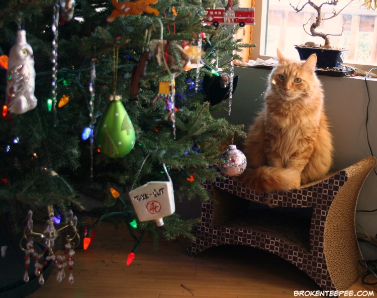 Christmas Memories and My Christmas Tree 2015