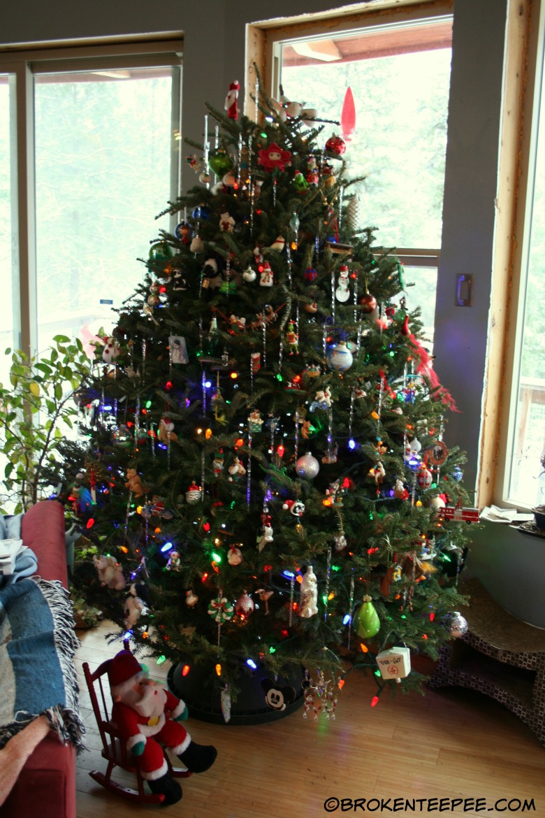 Christmas tree, Christmas ornaments, Christmas memories