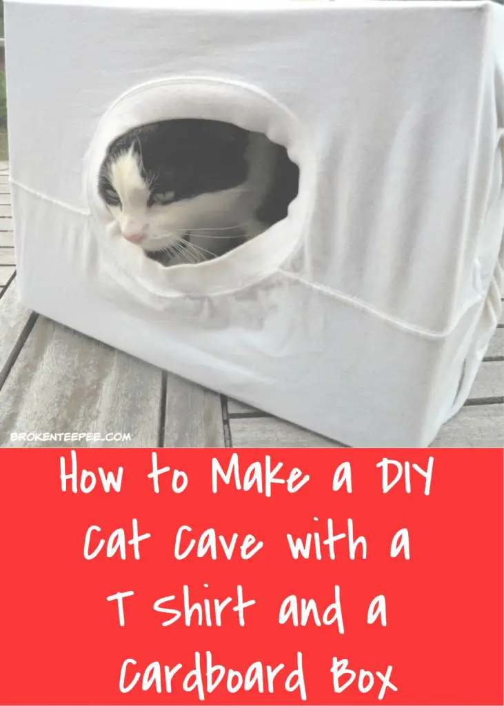 DIY Cat Cave