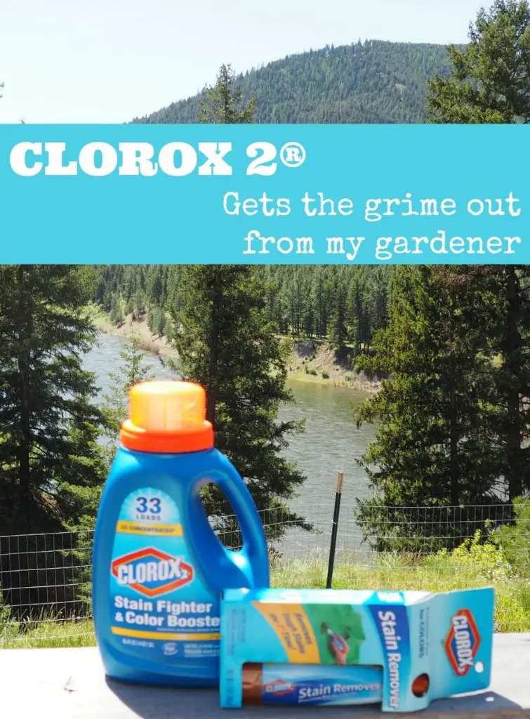 Easy Gardening Tips, #Clorox2, #sponsored