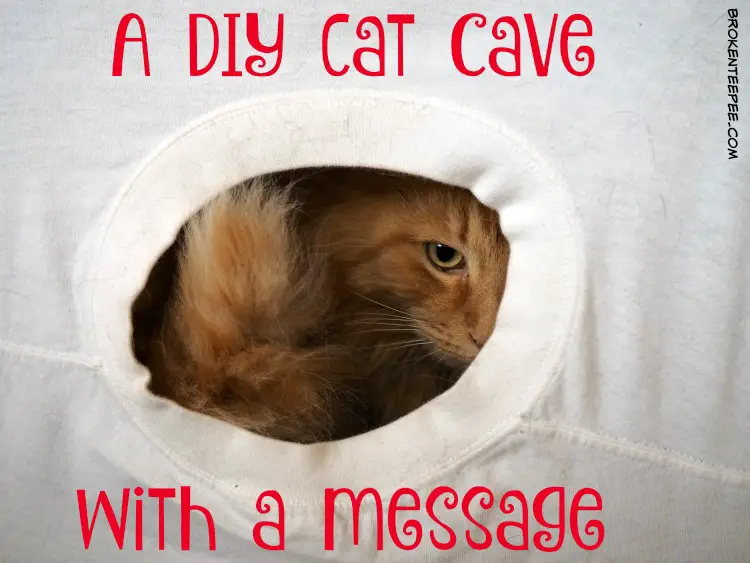 DIY Cat Craft, Cat Cave, Rachel Ray™Nutrish®, cat food, grain free cat food, #NutrishCatCrafts, #CollectiveBias, #ad