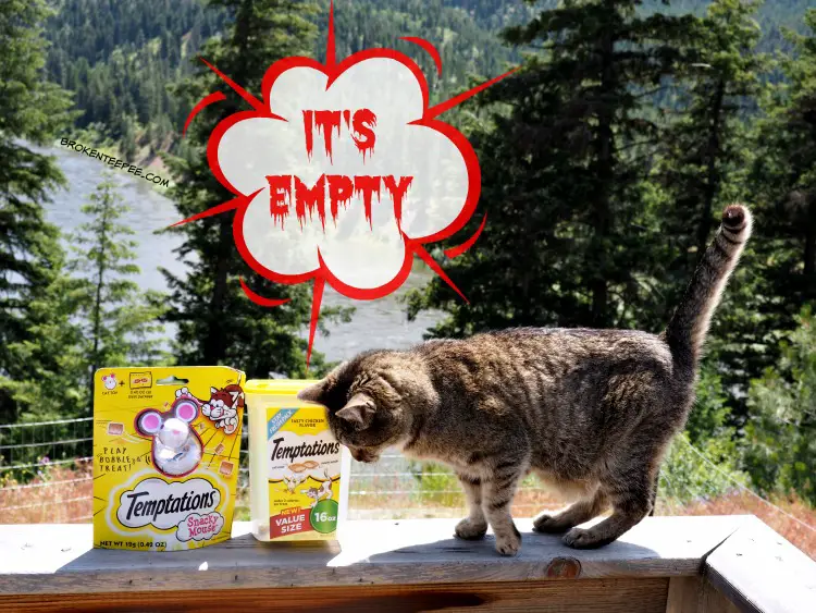 Chewy.com, Stinky the Farm cat, Temptations Cat Treats, Snacky Mouse, AD
