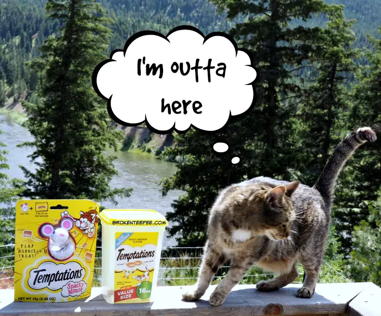 Chewy.com, Stinky the Farm cat, Temptations Cat Treats, Snacky Mouse, AD