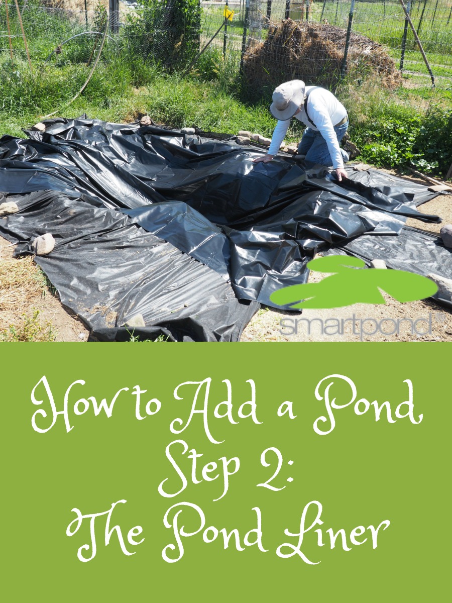 How to Add a Pond, Step Two – The Pond Liner