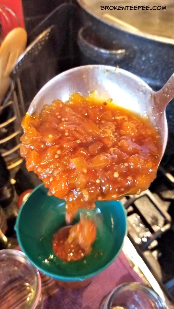 apricots, apricot sauce, apricot recipes, canning apricot sauce
