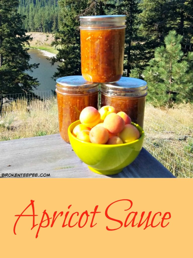 apricots, apricot sauce, apricot recipes