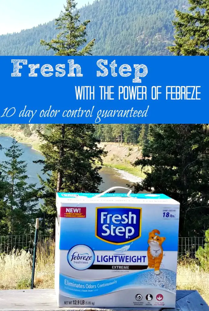 Fresh Step with the Power of Febreze, cat litter, get the stink out, BlogPaws, Stinky no more, PetSmart, #FreshStepFebreze, #Unsmellable, #AD