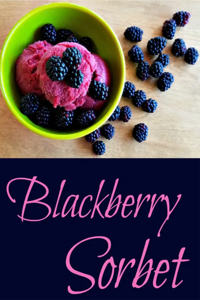 blackberry sorbet, blackberry recipe