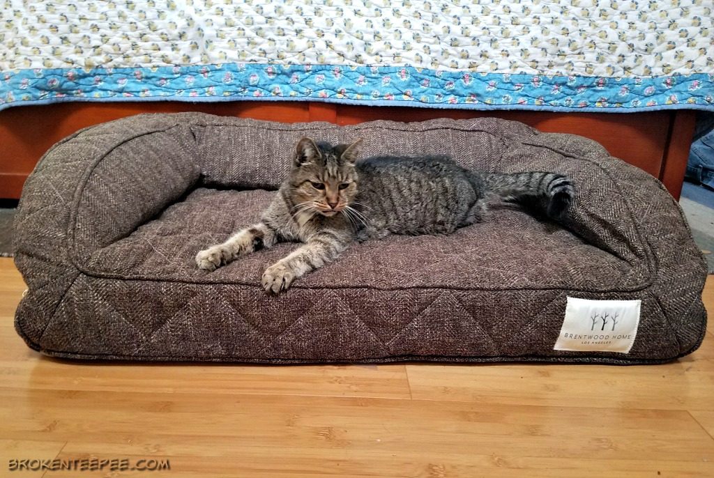 brentwood-home-pet-bed-sponsored