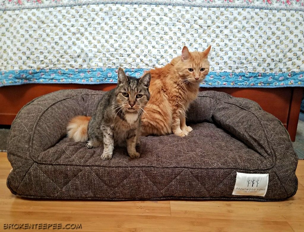 brentwood-home-pet-bed-sponsored