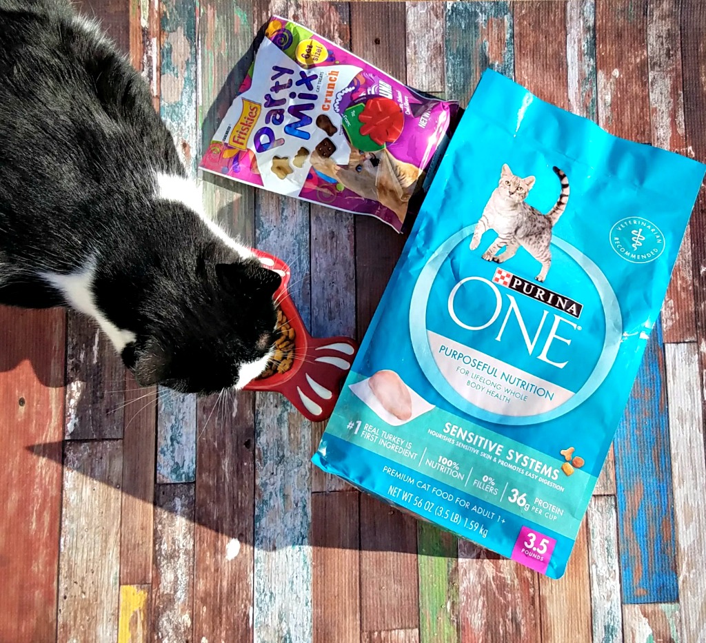 Share in the Savings with Purina and Target with Free Printables
