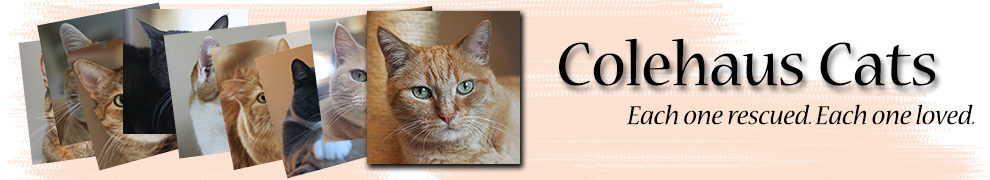 Secret Paws, Colehaus Cats