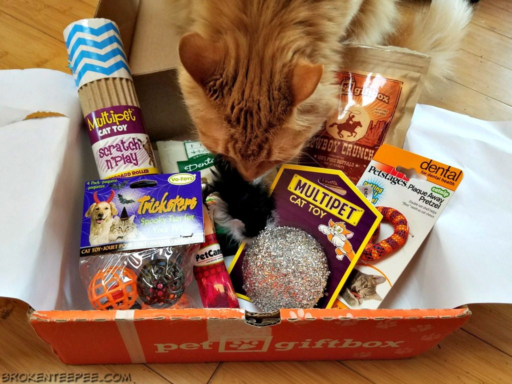 pet subscription box, PetGiftBox.com, cat toys, cat treats, sponsored