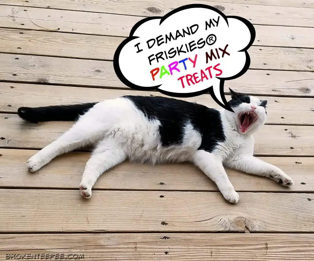 How to be a Farm Cat, Purina at PetSmart, Purina, PetSmart, #PurinaMysteries, #AD
