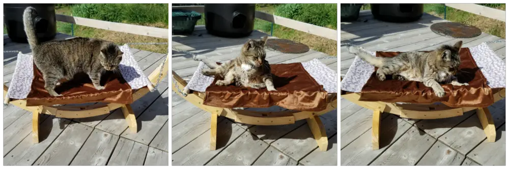 luxury cat hammock, Pet Magasin, AD