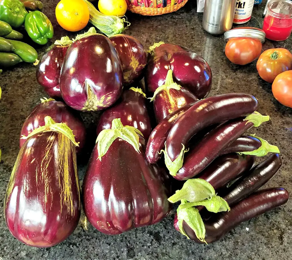 How To Freeze Eggplant