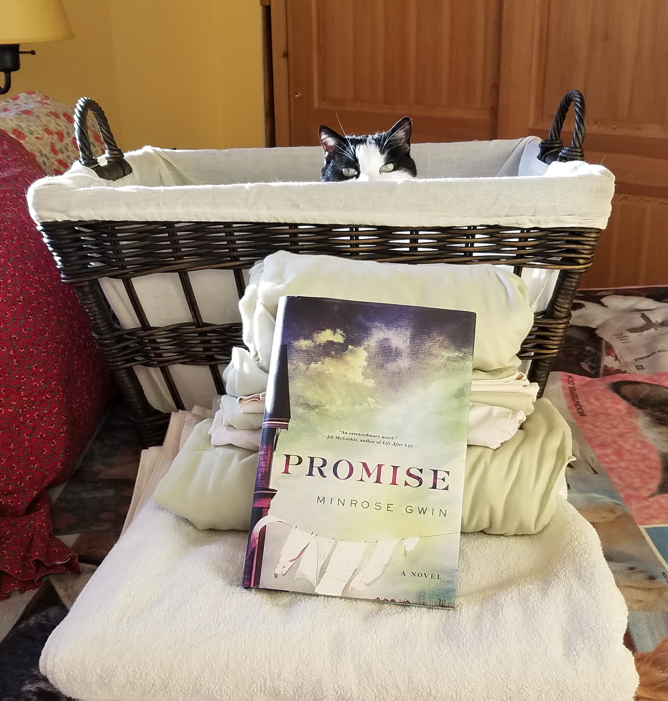 Promise by Minrose Gwin – Blog Tour and Book Review