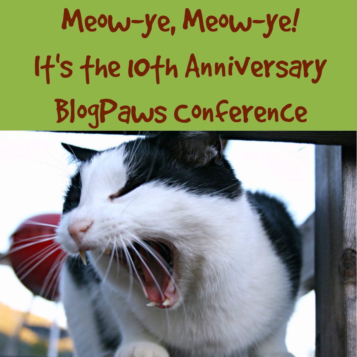 I’m Going to the 10th Anniversary BlogPaws Conference. How About You?
