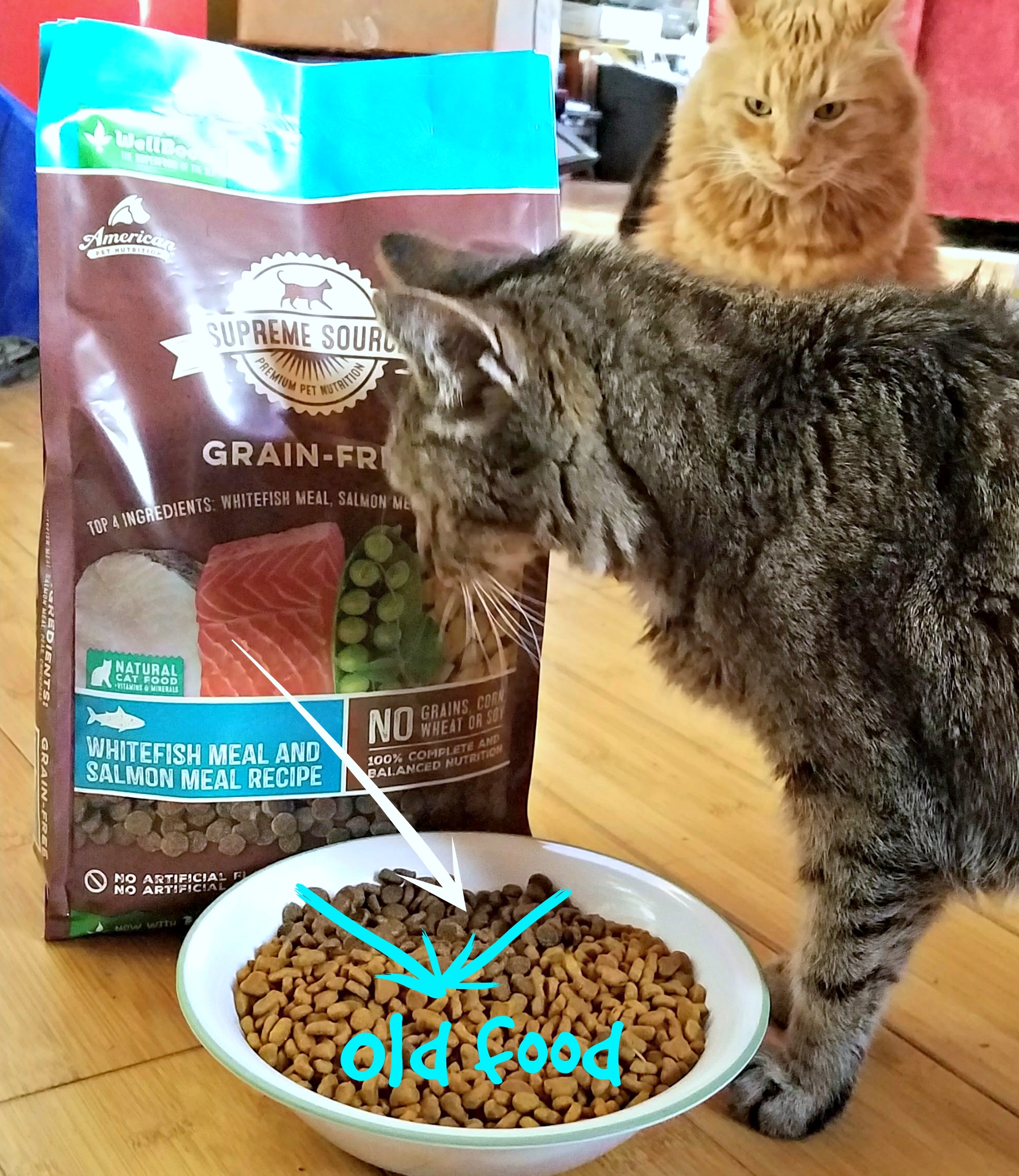 Supreme Source Grain Free Cat Food, quality cat food, #SuperFoodSwitch, #IC, AD