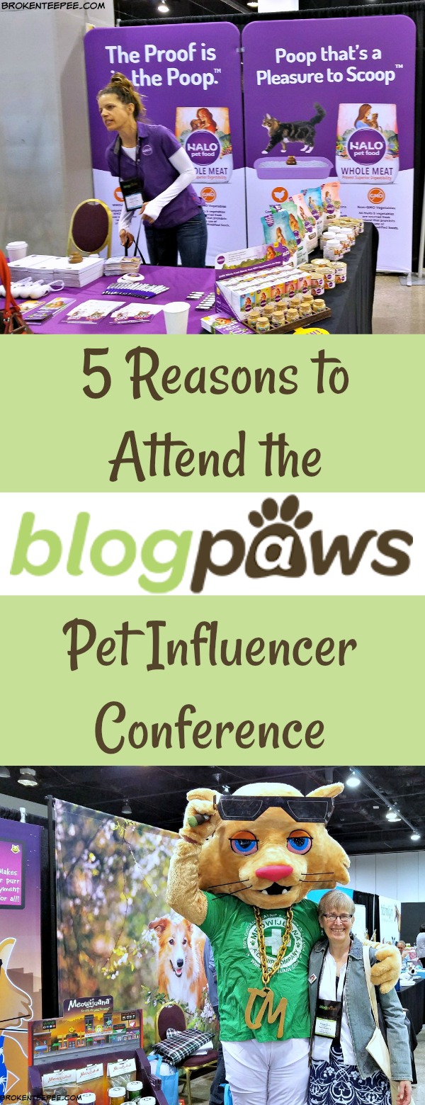 BlogPaws Pet Influencer Conference, BlogPaws, 10th Anniversary, Chewy.com, #BlogPaws, AD
