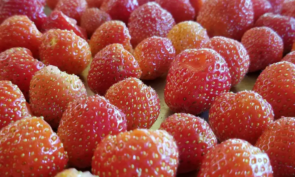 Strawberry Rhubarb Pie, AD