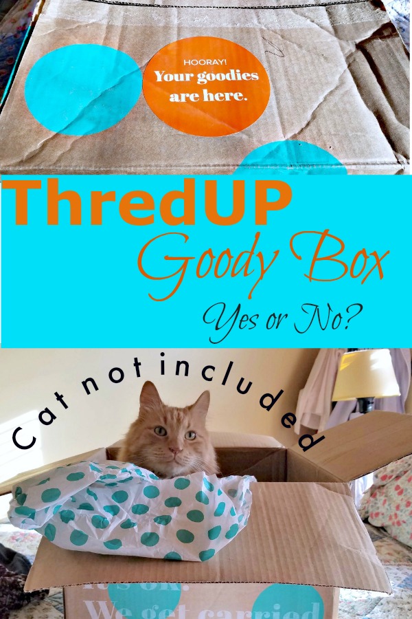 ThredUP Goody Box