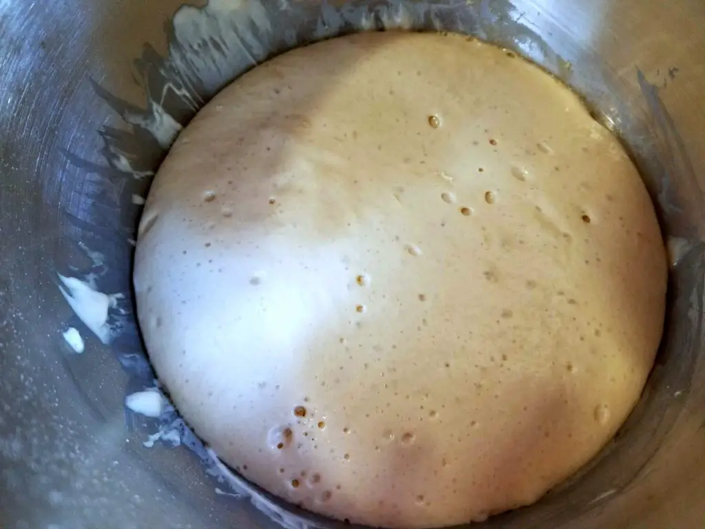 sponge for babka dough