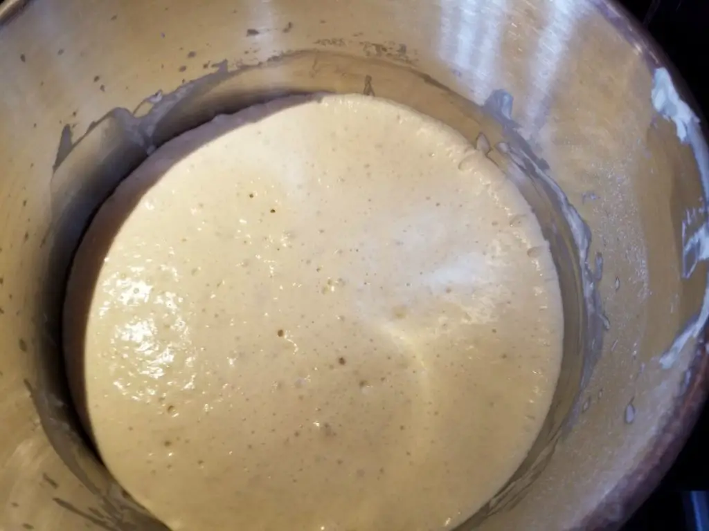 crumpet dough after rising