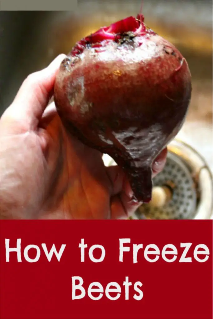 how to freeze beets