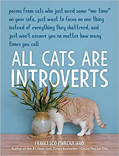 all cats are introverts