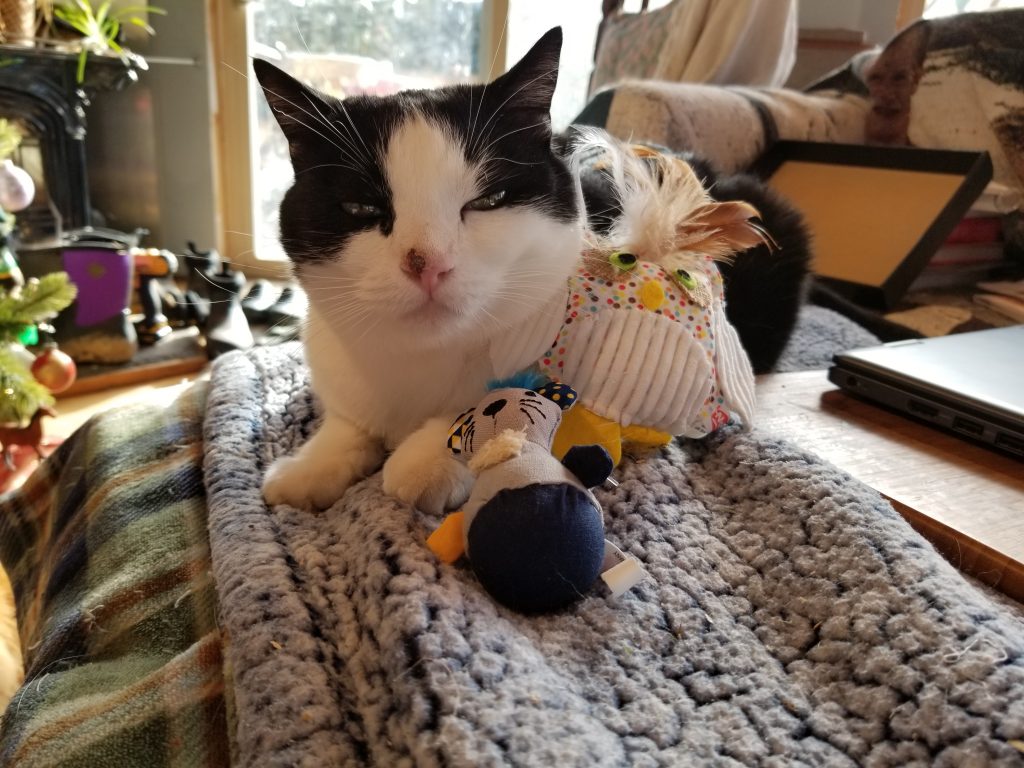 harry and toys