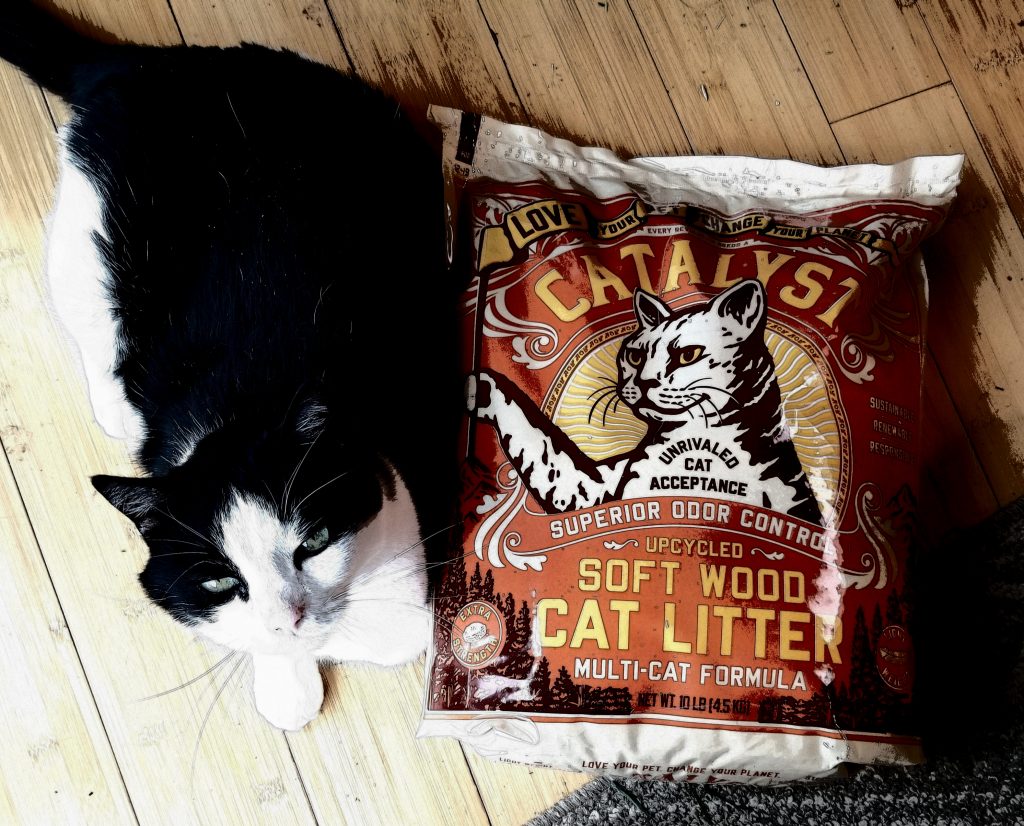 catalyst cat litter