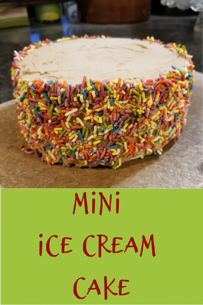 mini ice cream cake