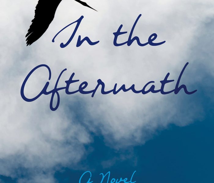 In the Aftermath by Jane Ward – Blog Tour and Book Review