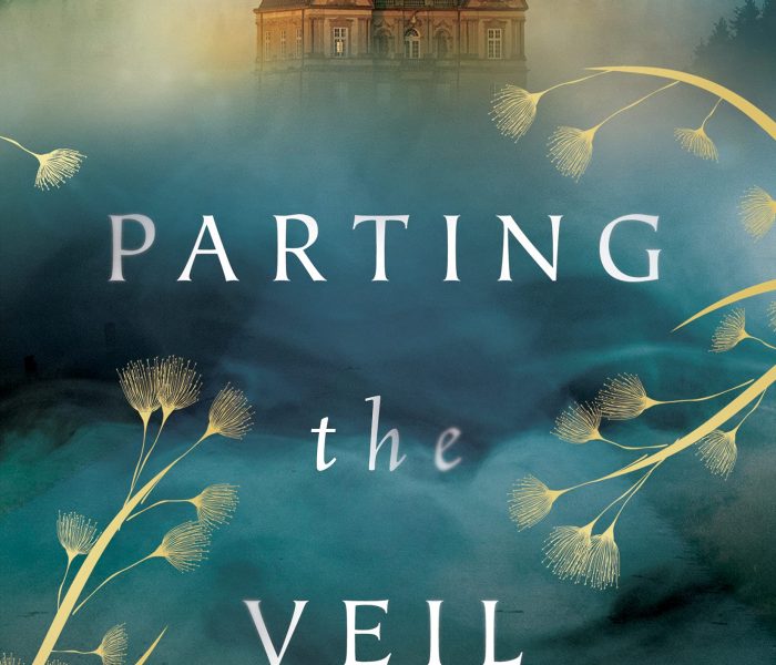 Parting the Veil by Paulette Kennedy – Blog Tour and Book Review with a Giveaway