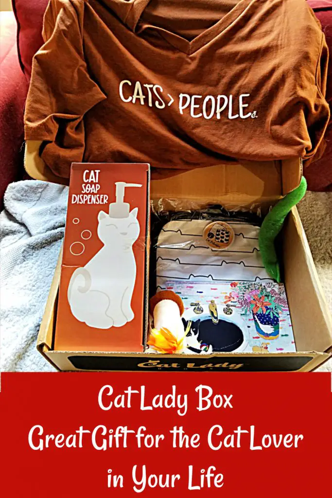 cat lady box