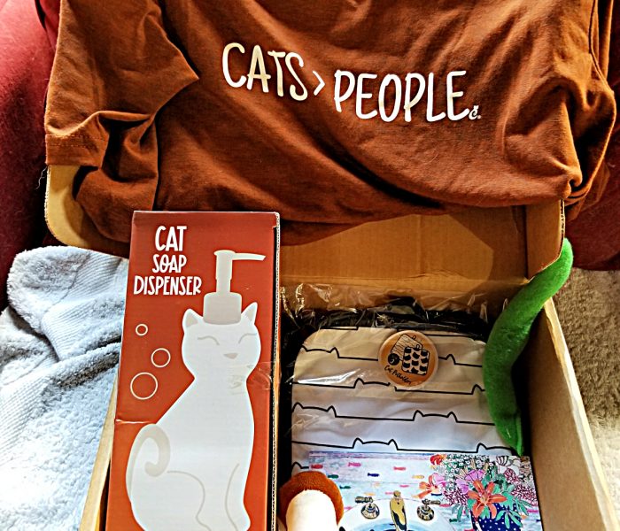 Gift for the Cat Lover – Cat Lady Box