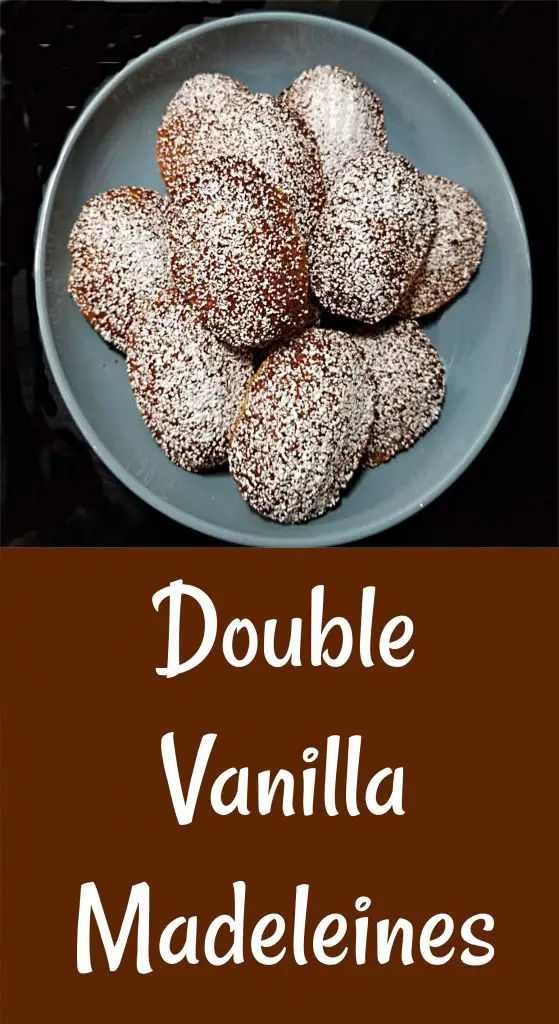 double vanilla madeleines