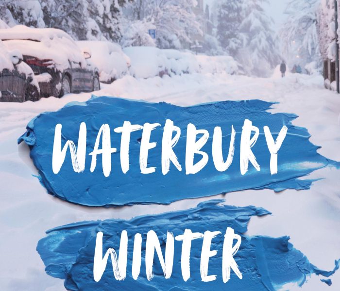 Waterbury Winter by Linda Stewart Henley – Book Review