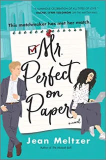 Mr. Perfect on Paper by Joan Meltzer – Blog Tour and Book Review