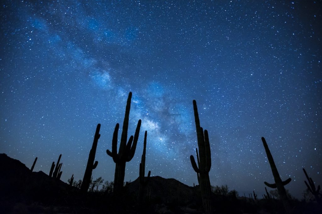 cactus and the milky way
